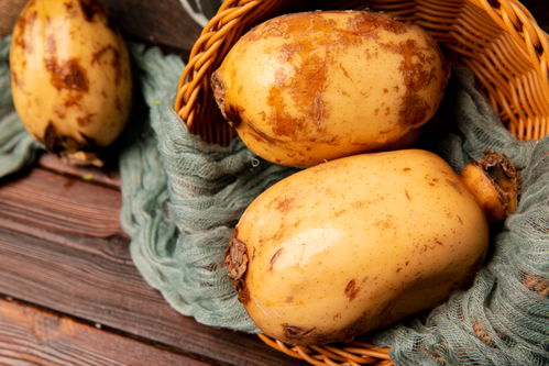 蓮藕 玉藕玲瓏，節日佳肴與苗木之美