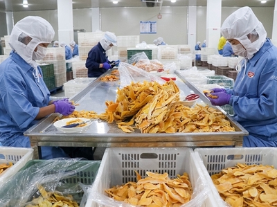 海麗天食品 借力“互聯網+”穩訂單，食品產業創新干勁足