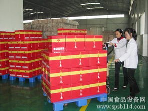 黑龍江塔河縣 互聯網創業園啟動，引領綠色食品加工業踏上“云”征程